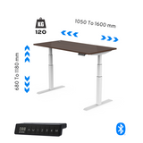 InnoFur Altezza Ergonomic Height Adjustable Desk